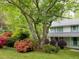 Charming home featuring a lush front yard with colorful azaleas and a mature tree, offering curb appeal at 3875 Wintergreen Ct, Marietta, GA 30062