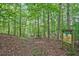 A rustic walking trail through a verdant forest, inviting exploration and connection with nature at 1950 Stethem Fry, Alpharetta, GA 30022