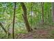 A peaceful water view through the woods, offering a serene and natural backdrop at 1950 Stethem Fry, Alpharetta, GA 30022