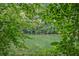 A serene lake view framed by lush green foliage, perfect for nature enthusiasts and tranquil living at 1950 Stethem Fry, Alpharetta, GA 30022