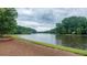 Quiet lake view surrounded by dense trees, framed by a pine needle covered bank, offering a serene backdrop at 434 Teal Ct, Roswell, GA 30076