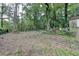 Secluded backyard space, shaded by mature trees with a shed and lush greenery at 2538 Anchors Way, Snellville, GA 30078