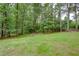 Expansive backyard featuring lush green grass and bordered by mature trees offering privacy and a serene setting at 3336 Forrest Hills Dr, Hapeville, GA 30354