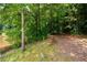 Tranquil view of a pond framed by trees, and an adjacent wooded area with a mulch path at 2360 Whispering Nw Dr, Kennesaw, GA 30144
