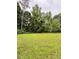 Expansive backyard with lush green lawn, mature trees and foliage at 49 Patty Dr, Dallas, GA 30157