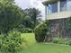 Overgrown backyard with mature trees and landscaping at 25 Darcee Ct, Lawrenceville, GA 30046
