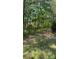 Lush wooded yard in the summer with mature trees offering shade and privacy at 3510 Hog Mountain Rd, Dacula, GA 30019