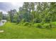 Lush green backyard with mature trees, offering privacy and a natural setting at 7127 Greenway Sw Cv, Covington, GA 30014
