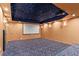 Theater room with screen, ceiling projector, colorful carpet and star-scape ceiling at 1000 Gunter Ct, Alpharetta, GA 30022