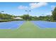 Exterior shot of community tennis courts with surrounding landscaping and recreational area at 931 Sublime Trl, Canton, GA 30114
