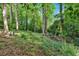 Heavily wooded lot with rustic charm at 1618 Mason Mill Ne Rd, Atlanta, GA 30329