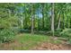 Grassy backyard with mature trees and a chain-link fence at 1618 Mason Mill Ne Rd, Atlanta, GA 30329