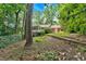 Secluded backyard view of home, featuring a lush lawn and mature trees at 1618 Mason Mill Ne Rd, Atlanta, GA 30329