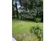 Lush backyard with mature trees, offering a private and natural setting at 4050 Willow Ridge Rd, Douglasville, GA 30135