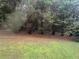 Backyard featuring mature trees, grass and privacy at 4189 Duncan Ives Dr, Buford, GA 30519