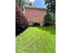 Spacious backyard with well-maintained lawn and mature trees, offering a serene outdoor escape at 3245 Bywater Trl, Roswell, GA 30075