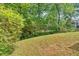 Lush green backyard with mature trees and a grassy area, offering privacy and space at 5705 Cannonero Dr Dr, Alpharetta, GA 30005