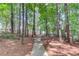 Scenic wooded pathway leading to the property, creating a tranquil and inviting entrance at 218 Oakmoor Ct, Lawrenceville, GA 30043