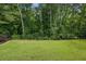 Large, well-maintained backyard with lush green grass and a secure iron fence at 1648 Danbury Parc Ne Pl, Brookhaven, GA 30319