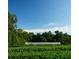 Wide shot of lush green field featuring agriculture in the background at 2164 James Aly, Atlanta, GA 30345