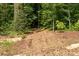 A mulch path leads into a lush forest, inviting exploration of nature and outdoor adventures at 2164 James Aly, Atlanta, GA 30345