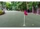 Private backyard featuring a putting green with flags, surrounded by lush trees at 5930 Shannon Drive Dr, Cumming, GA 30040