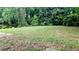 A well-manicured backyard with lush greenery and ample space for outdoor activities at 1127 Renee Dr, Decatur, GA 30035