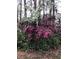 Colorful flowering bushes surrounding a property, adding charm to the landscape at 1640 Mount Mckinley Dr, Grayson, GA 30017