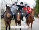 Equestrian community with trails provides riding opportunities and scenic views at 4935 Stablegate Ct, Cumming, GA 30028