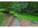 Backyard featuring a wooden stairway descending into lush, green wooded area at 245 River Laurel Way, Woodstock, GA 30188