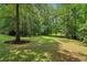 Lush green backyard with mature trees offering shade and privacy, perfect for outdoor activities at 169 Robson Trl, Mcdonough, GA 30252