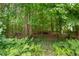 A lush, wooded backyard offering privacy and a natural setting, ideal for nature lovers at 4987 Day Lily Nw Way, Acworth, GA 30102