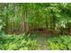 Overgrown backyard featuring a tranquil scene through the densely wooded area at 4987 Day Lily Nw Way, Acworth, GA 30102