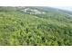 Beautiful aerial landscape showing the home surrounded by lush green trees at 8872 Conners Rd, Villa Rica, GA 30180