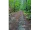 A gravel driveway surrounded by dense woods at 8872 Conners Rd, Villa Rica, GA 30180