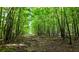 Scenic acreage with mature trees, creating a secluded and private homesite at 8872 Conners Rd, Villa Rica, GA 30180