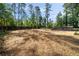 Expansive backyard with a storage shed, bordered by tall trees and a wooden fence, offering ample privacy at 974 Clydesdale Dr, Marietta, GA 30062