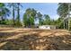The large backyard features fresh ground cover, tall trees, and the home's exterior and a storage shed at 974 Clydesdale Dr, Marietta, GA 30062
