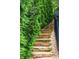 Stone steps leading upwards, lined with lush greenery and a sleek black fence at 5755 Riley Rd, Cumming, GA 30028