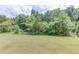 Lush green backyard with mature trees, offering a serene and private outdoor space at 2005 Hamilton Creek Pkwy, Dacula, GA 30019