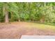 Spacious, private backyard featuring mature trees and a chain link fence at 2233 Cherokee Valley Dr, Lithonia, GA 30058
