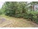 Lush backyard showcasing varied trees and plants at 3906 Elm Trace Ct, Loganville, GA 30052