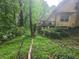 Wooded backyard with a deck, mature trees, and lush greenery surrounding the property at 33 Powder Dr, Dallas, GA 30157