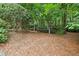 Landscaped backyard with mature trees, natural ground cover, and an iron fence surrounding the area at 145 Ardsley Ln, Alpharetta, GA 30005