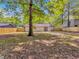 Shot of the house from the backyard featuring a new fence and mature trees at 373 Hemlock Dr, Lawrenceville, GA 30046