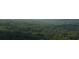 Lush treetops extend to the horizon, displaying the scenic and abundant landscape at 2179 Mountclaire Ct, Stone Mountain, GA 30087