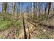 Wooded backyard featuring a small creek and natural surroundings, offering a peaceful outdoor retreat at 5050 Brownwood Dr, Powder Springs, GA 30127