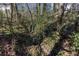 Backyard creek surrounded by lush greenery and trees, creating a natural and peaceful environment at 5050 Brownwood Dr, Powder Springs, GA 30127