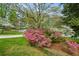 Lush landscaped front yard with mature flowering trees and green lawn at 3755 Kayanne Ct, Tucker, GA 30084