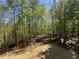A spacious, graded backyard space surrounded by mature trees under a clear blue sky at 66 Pine Creek Ct, Dallas, GA 30157